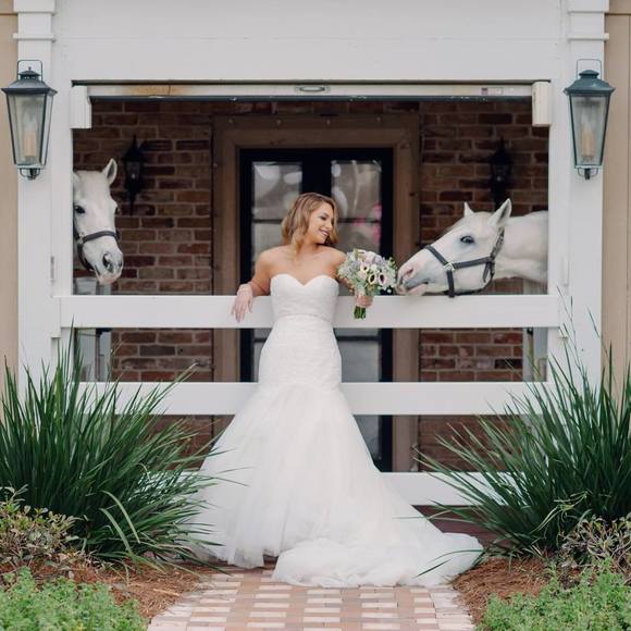 Meet your Posher, Caitlyn - Picture 1 of 1